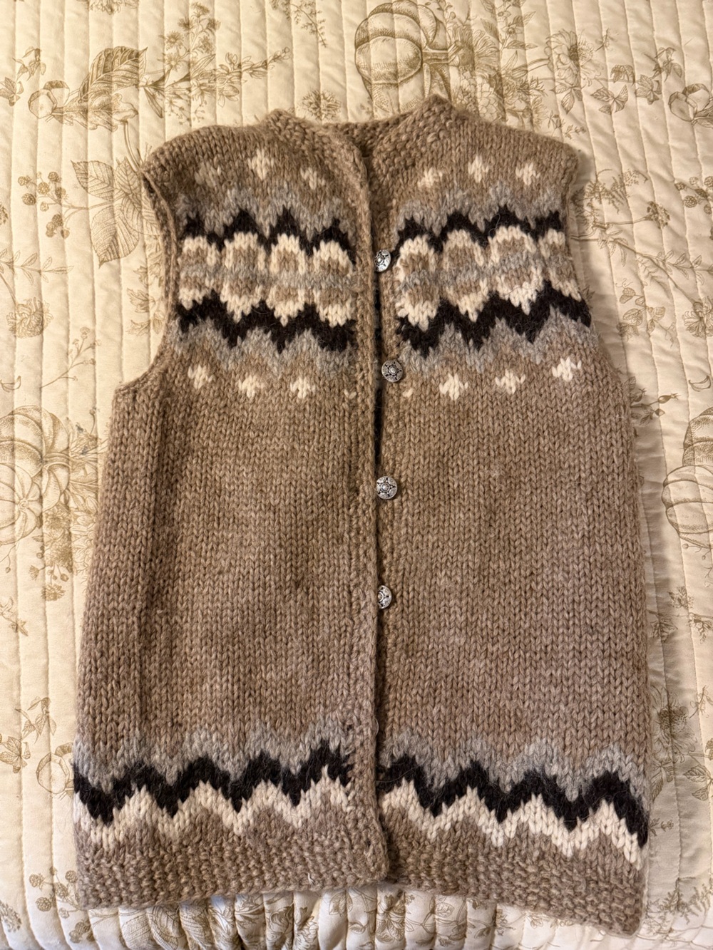 Neutral Taupe Nordic-Pattern Button-Front Knit Vest